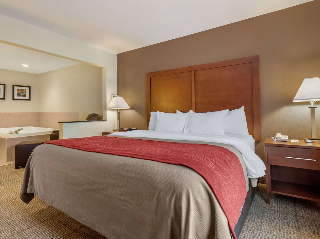 Comfort Inn Warren I-69主图