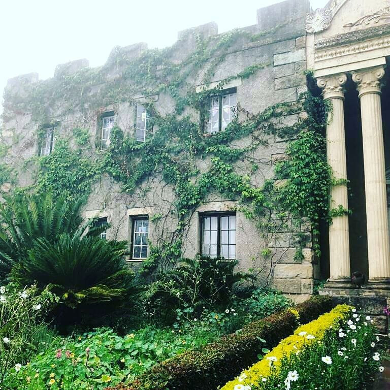 Flycatcher Castle主图