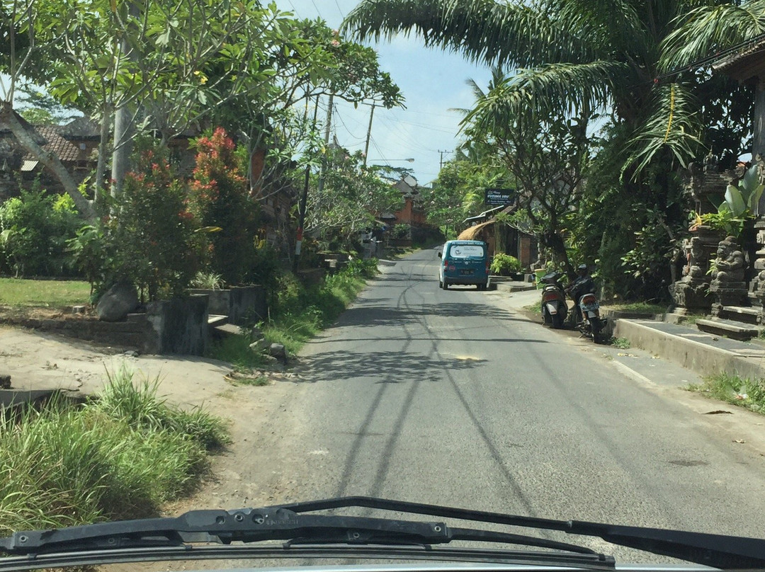 Bali Classic Tour - Private Day Tours-登巴萨必去景点