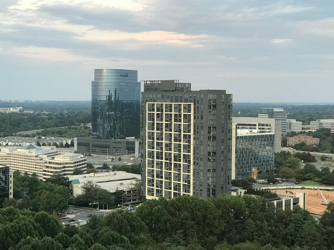 The Ritz-Carlton, Tysons Corner主图