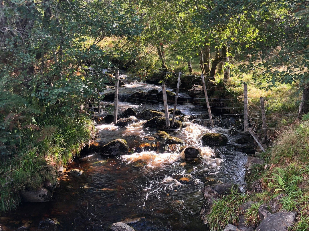 Ben Wyvis National Nature Reserve景点图片