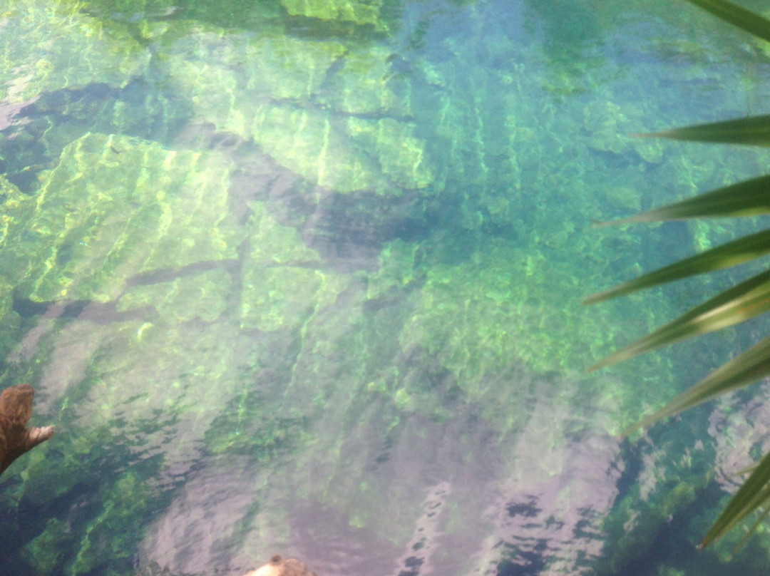 Cenote Crystal景点图片
