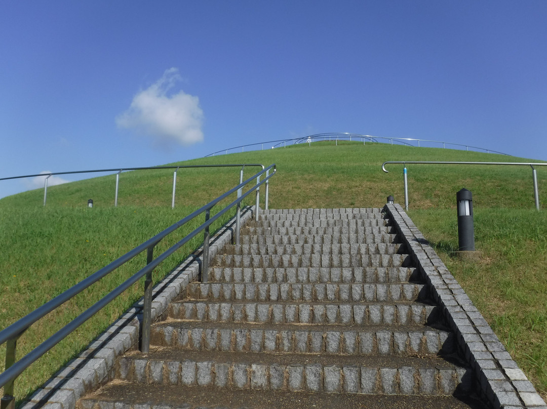 Makinohara Park-印西市必去景点