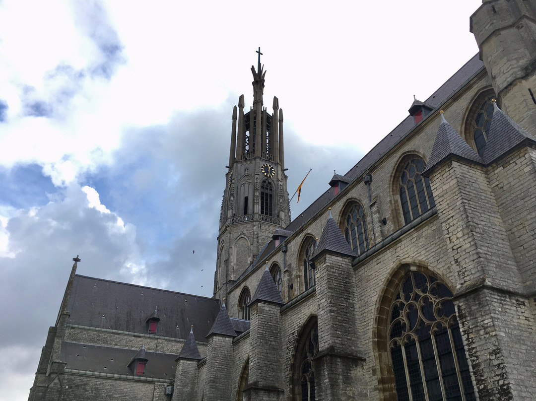 Basilica of St. Willibrord-Hulst必去景点