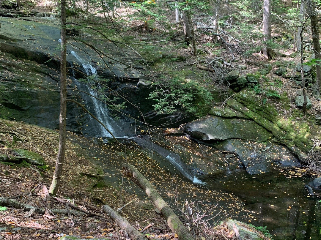 Chapel Brook-Ashfield必去景点