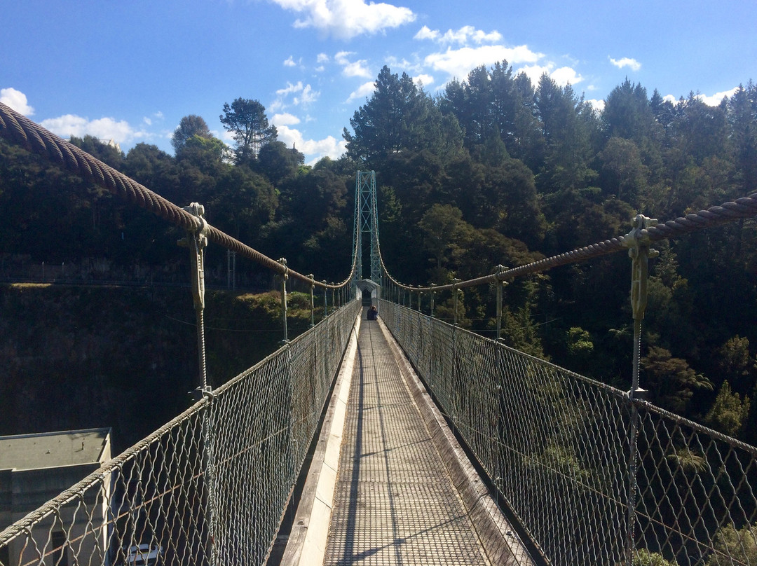 Arapuni Swing Bridge景点图片