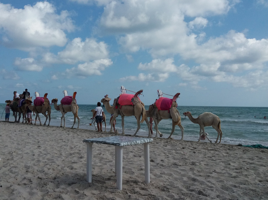 Hôtel Joya Paradise & SPA Djerba主图