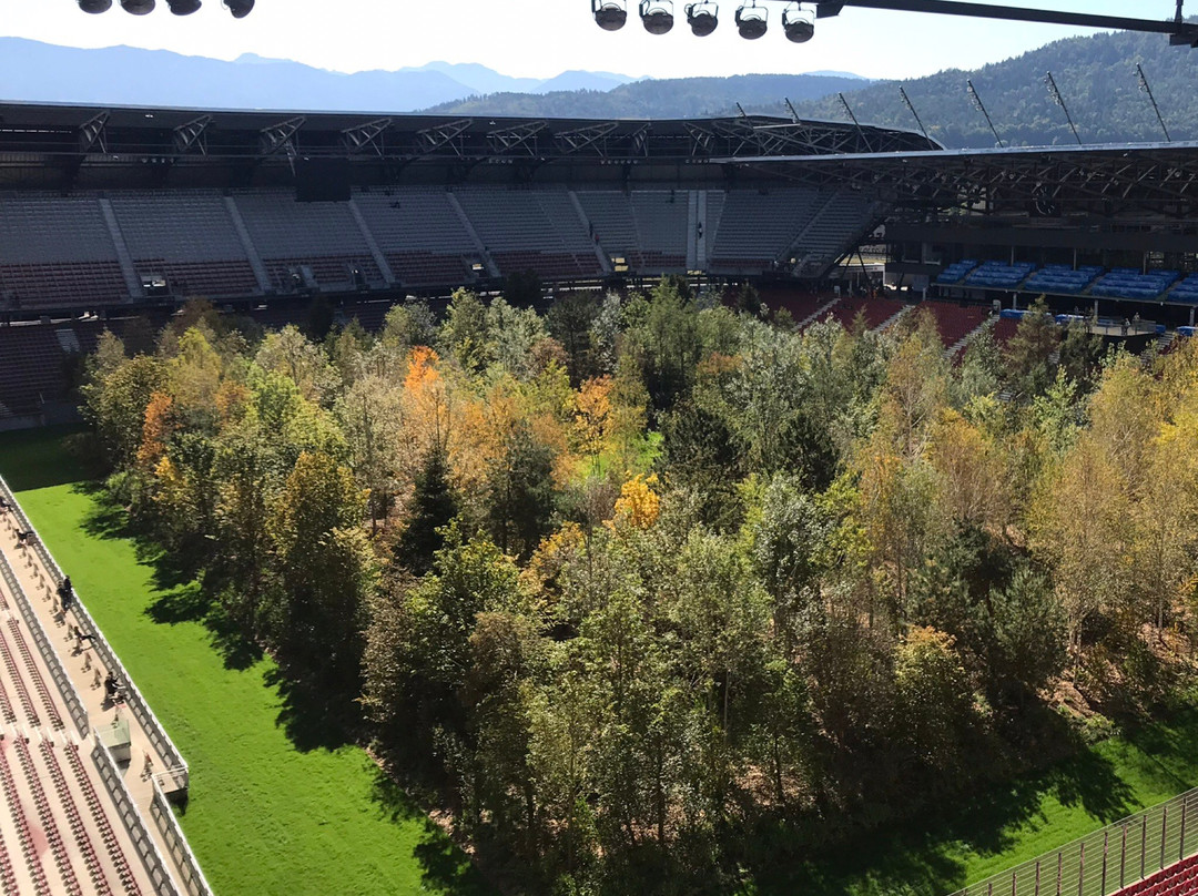 Wörthersee Stadion景点图片