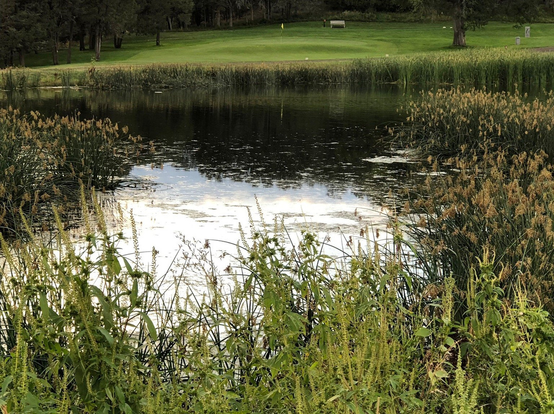 Raton Golf Course景点图片