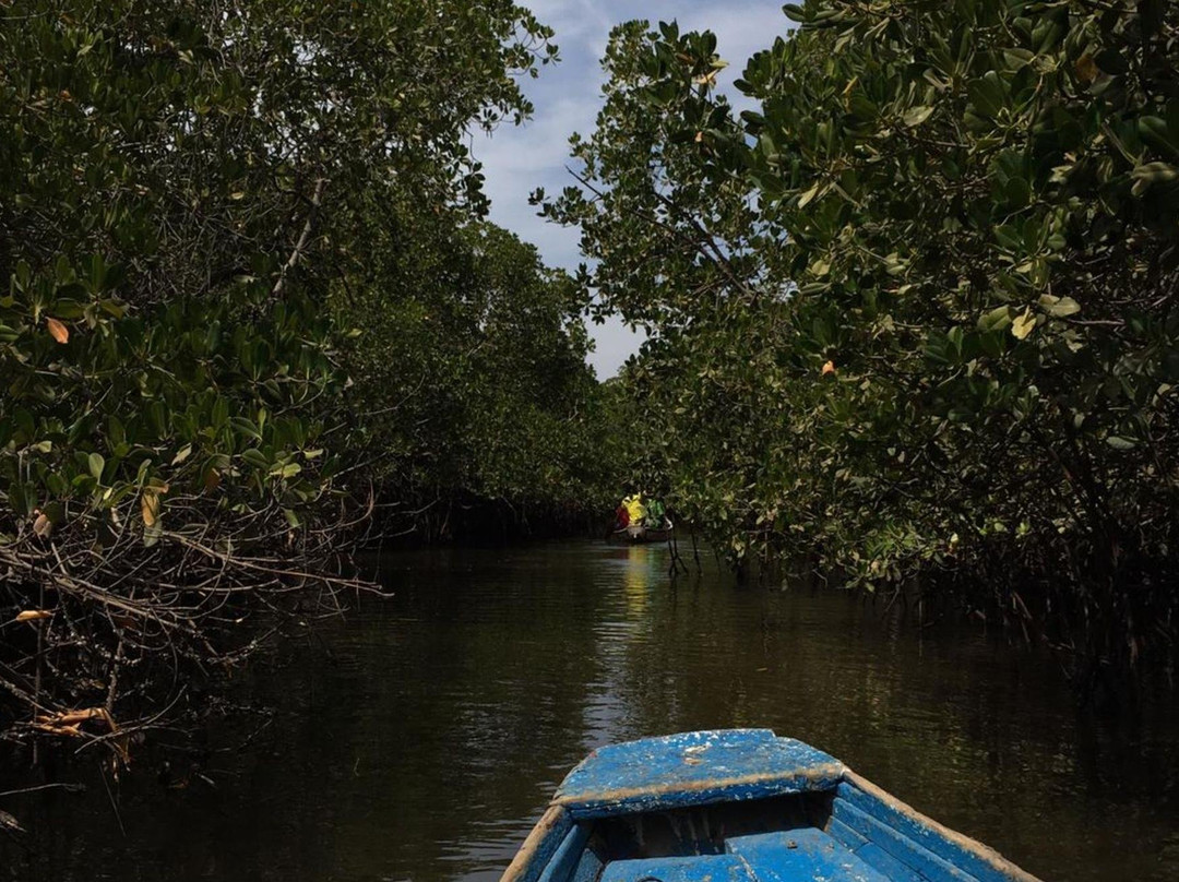 we-travel-you-若阿勒-法久特必去景点