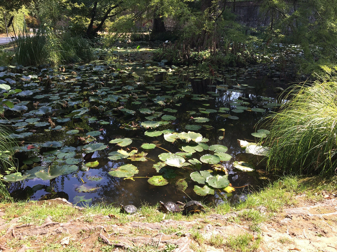 Orto Botanico di Lucca景点图片