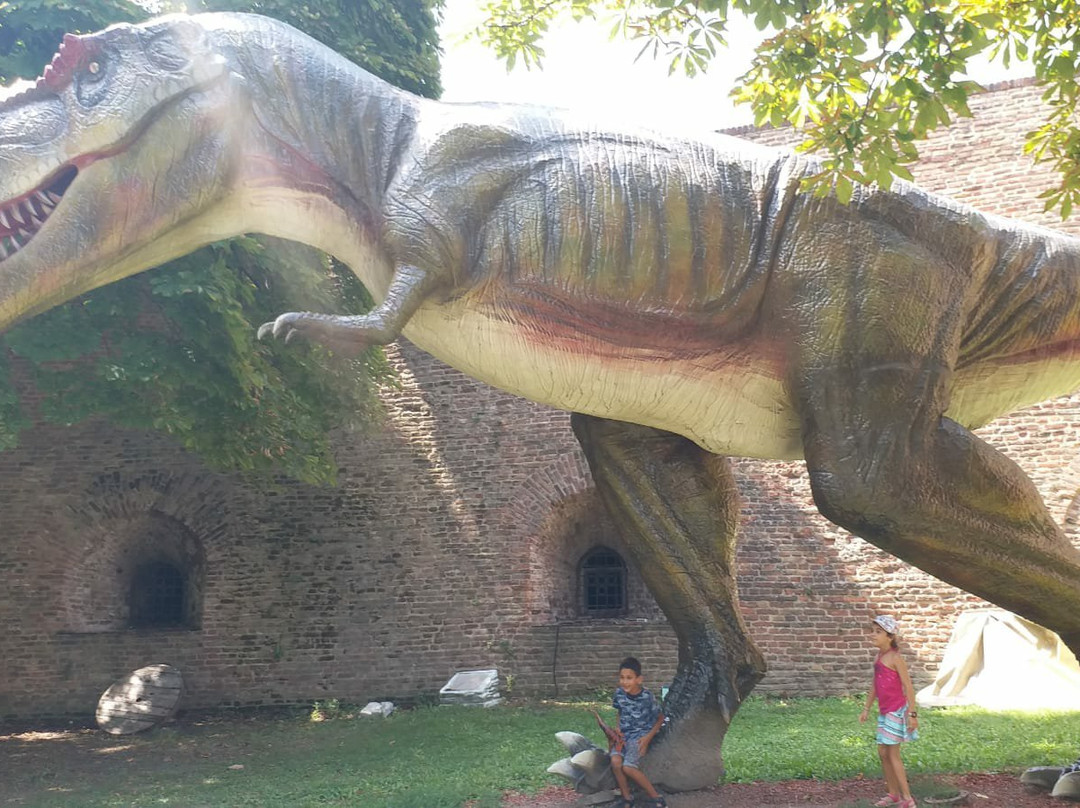 Dino Park "Jura Avantura"景点图片