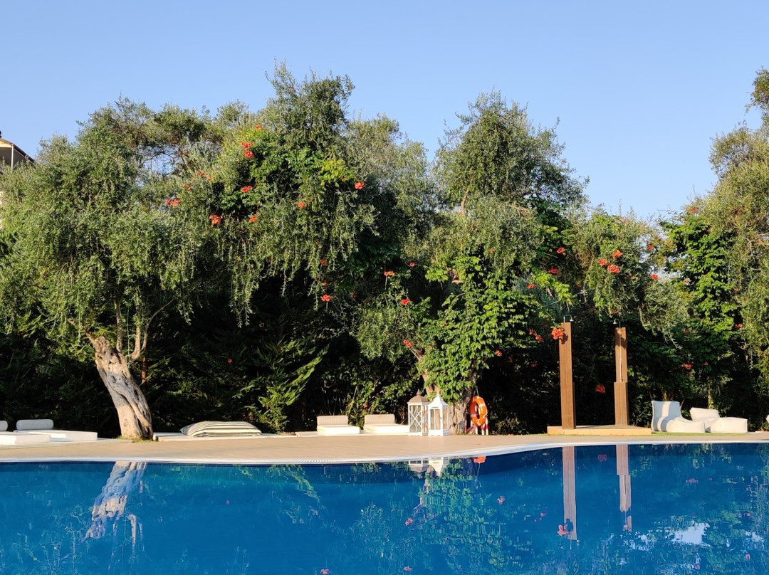 Mr & Mrs White Corfu Couples Retreat主图