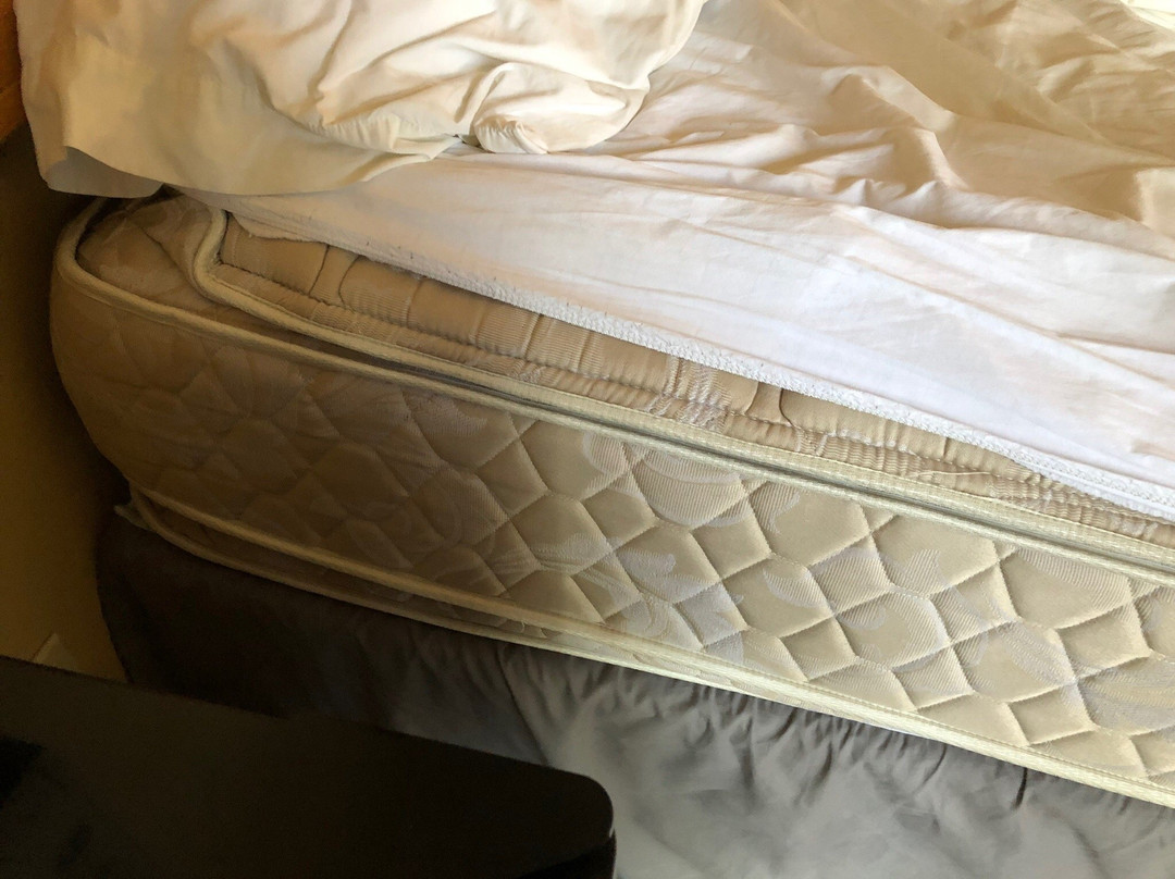 Alpine Inn of Pagosa Springs主图