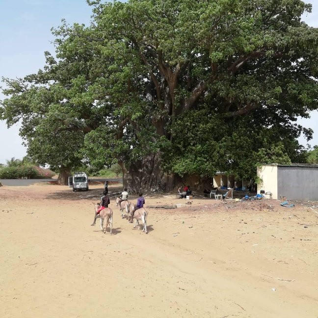 Senegal Excursions景点图片