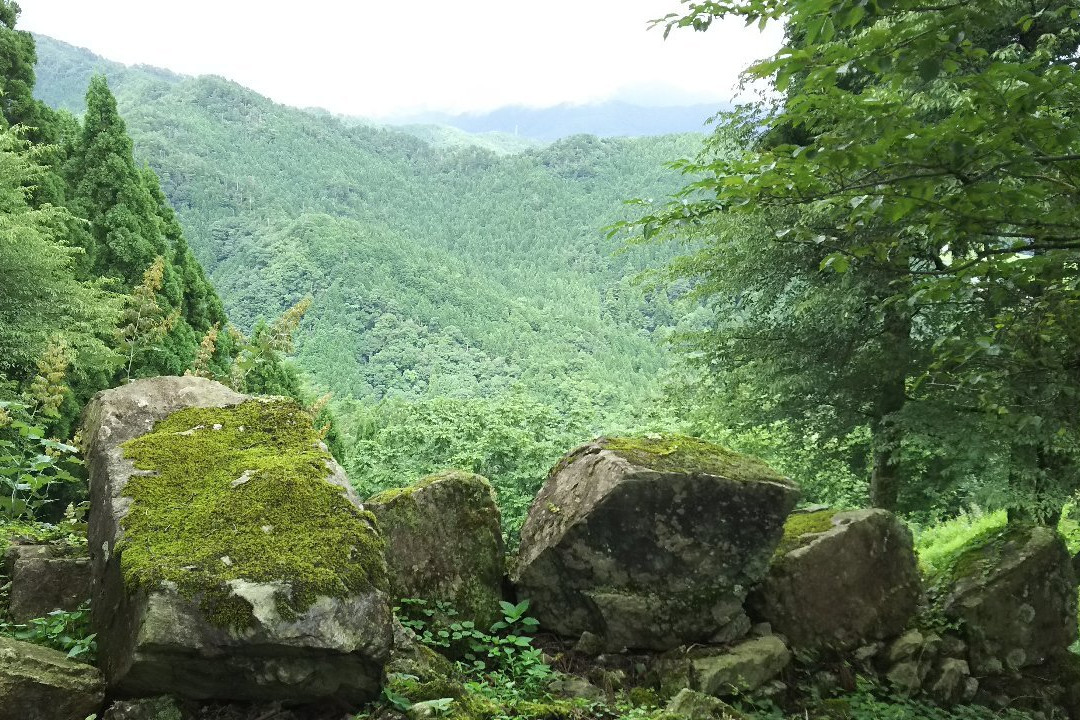 The remains of Wakasaonigajo Castle景点图片