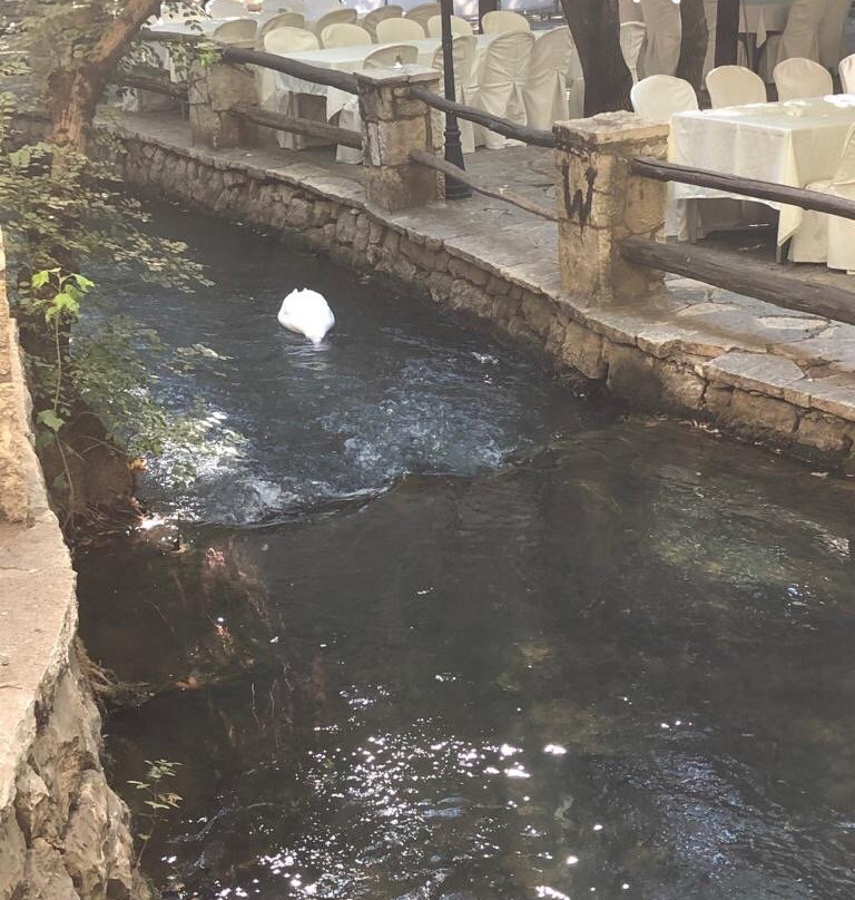 Massabki Hotel主图