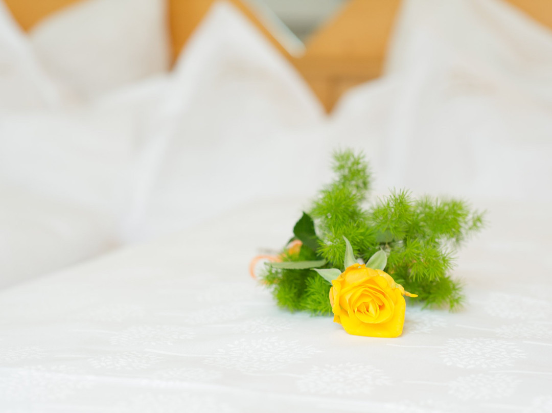 Panorama Tramin主图