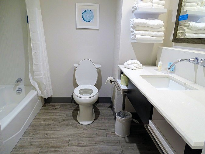 Hampton Inn & Suites Asheville Biltmore Area-浴室