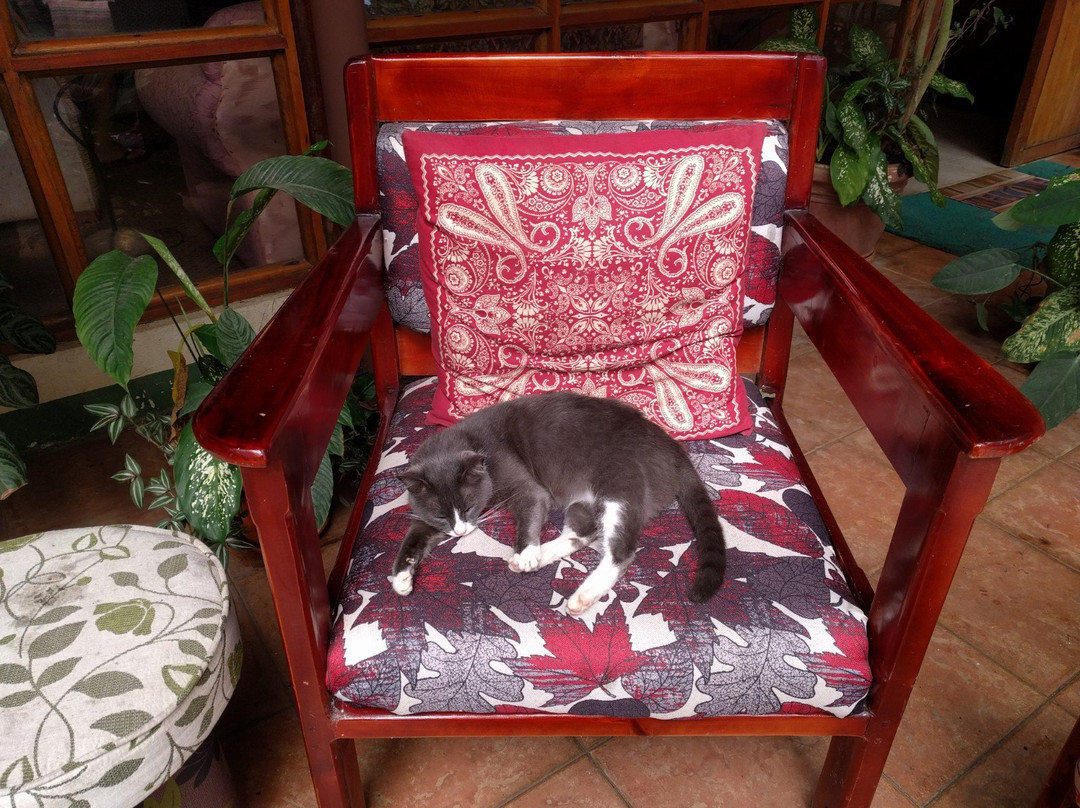 爱情乐园酒店主图