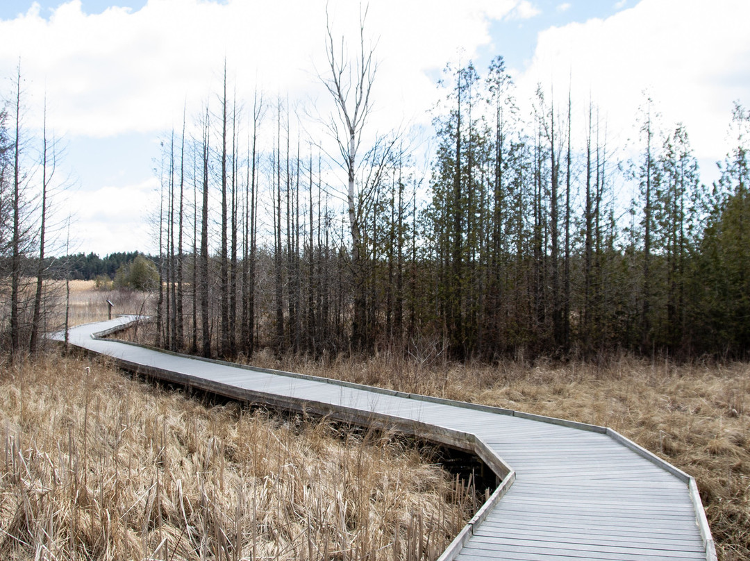 Presqu'ile Provincial Park景点图片