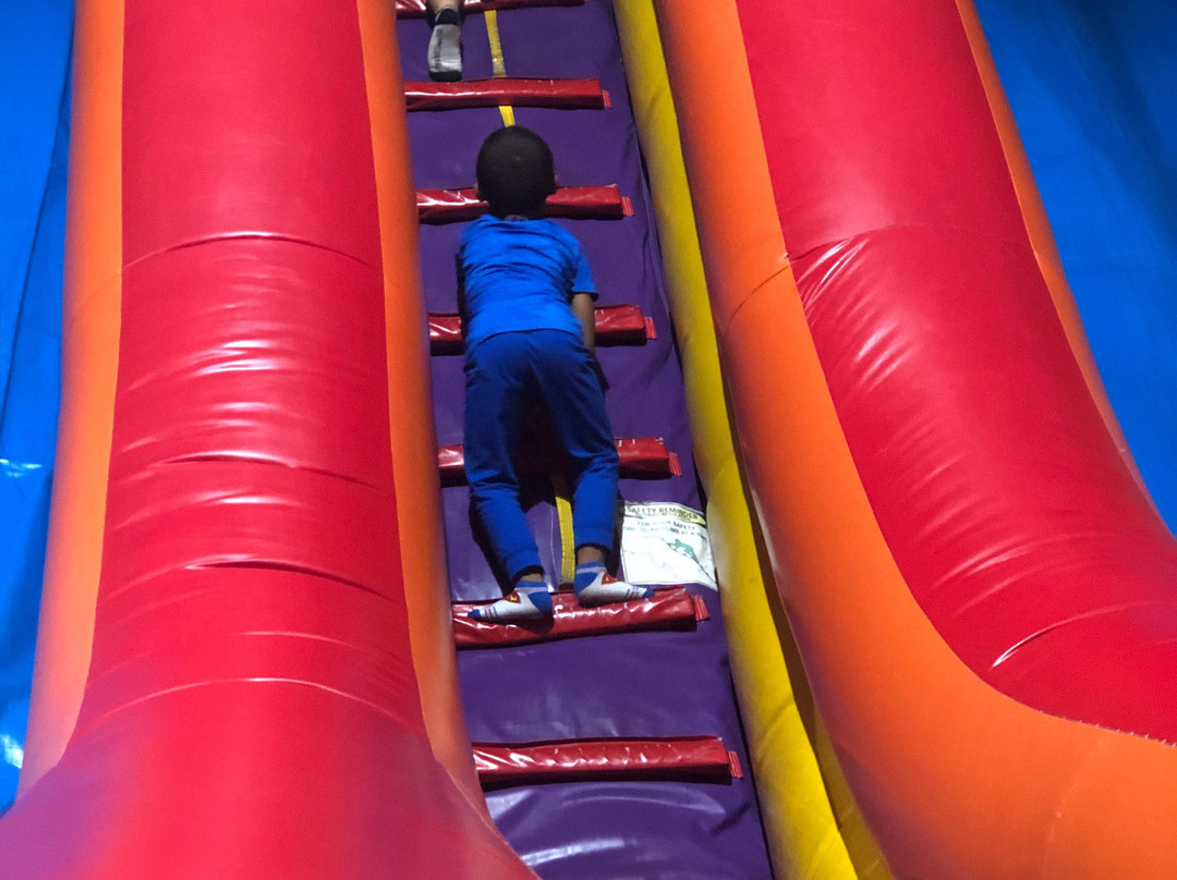 Bounce Down Under-萨拉索塔必去景点