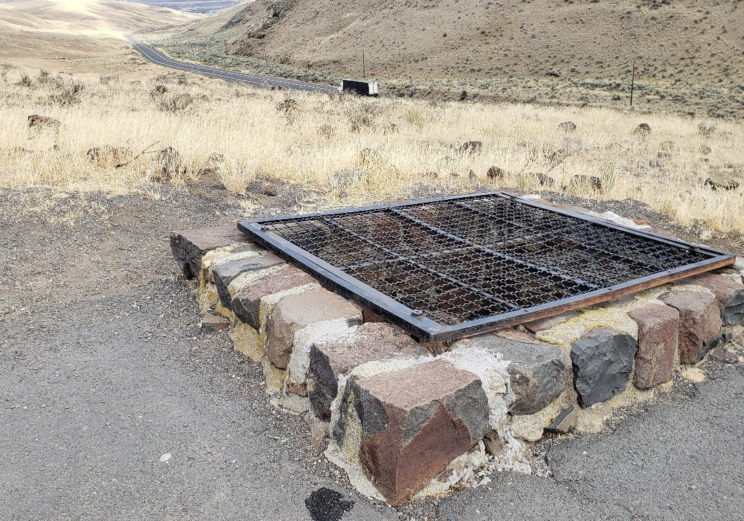 Ginkgo Petrified Forest State Park景点图片