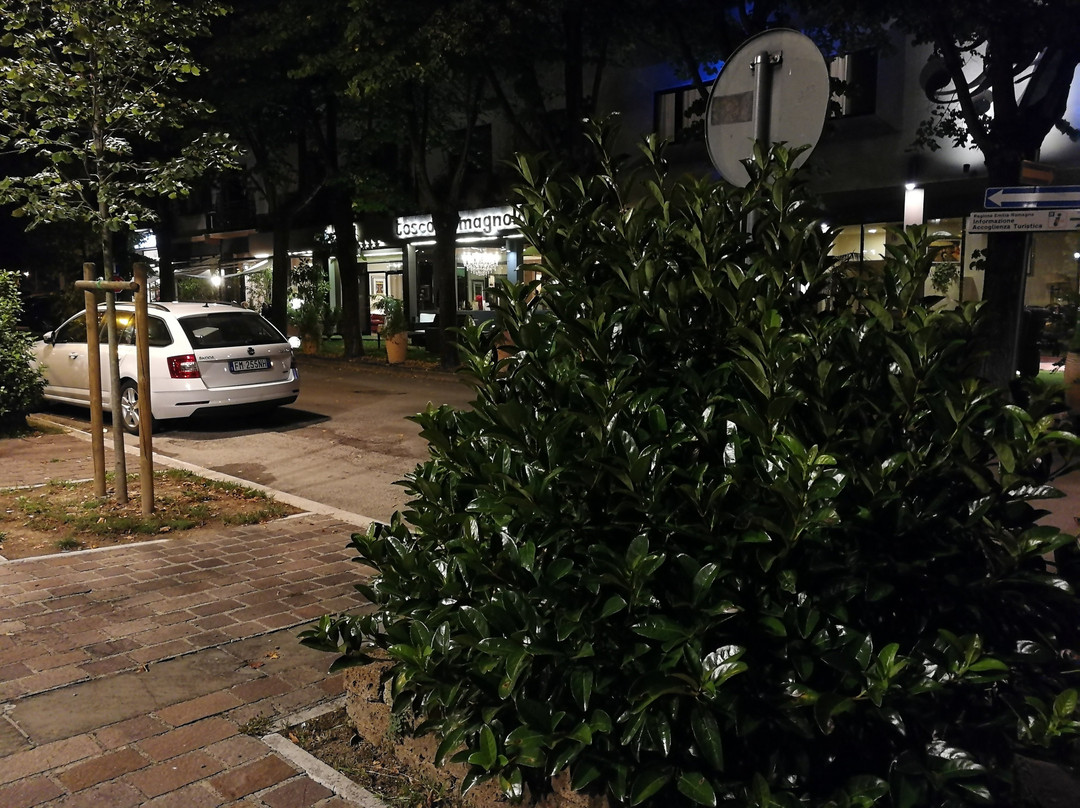 Hotel Tosco Romagnolo主图