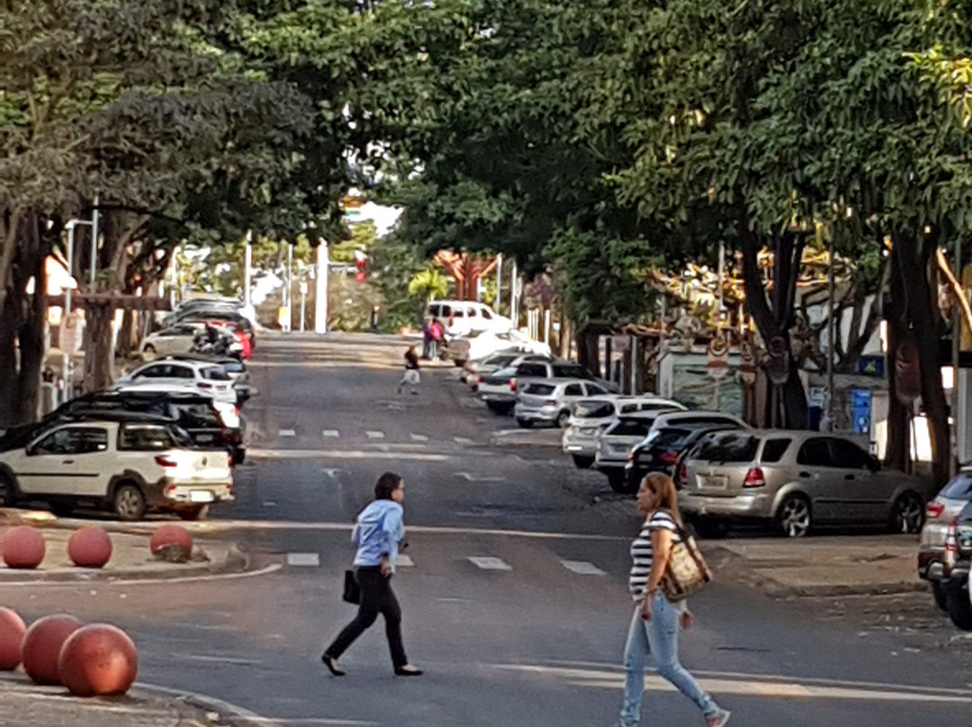 Avenida Jorge Schimmelpfeng-伊瓜苏必去景点