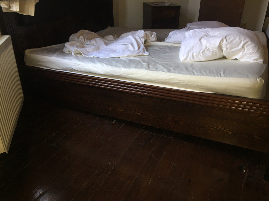 Pinecone Boutique Hotel主图