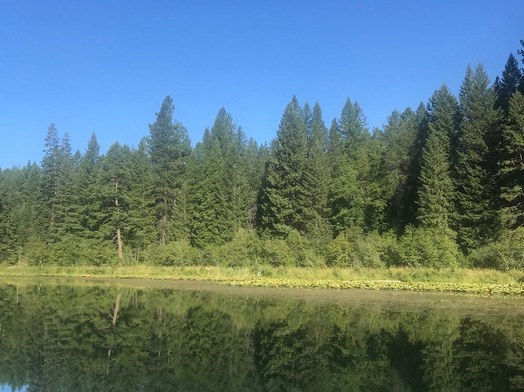 Round Lake State Park-Sagle必去景点