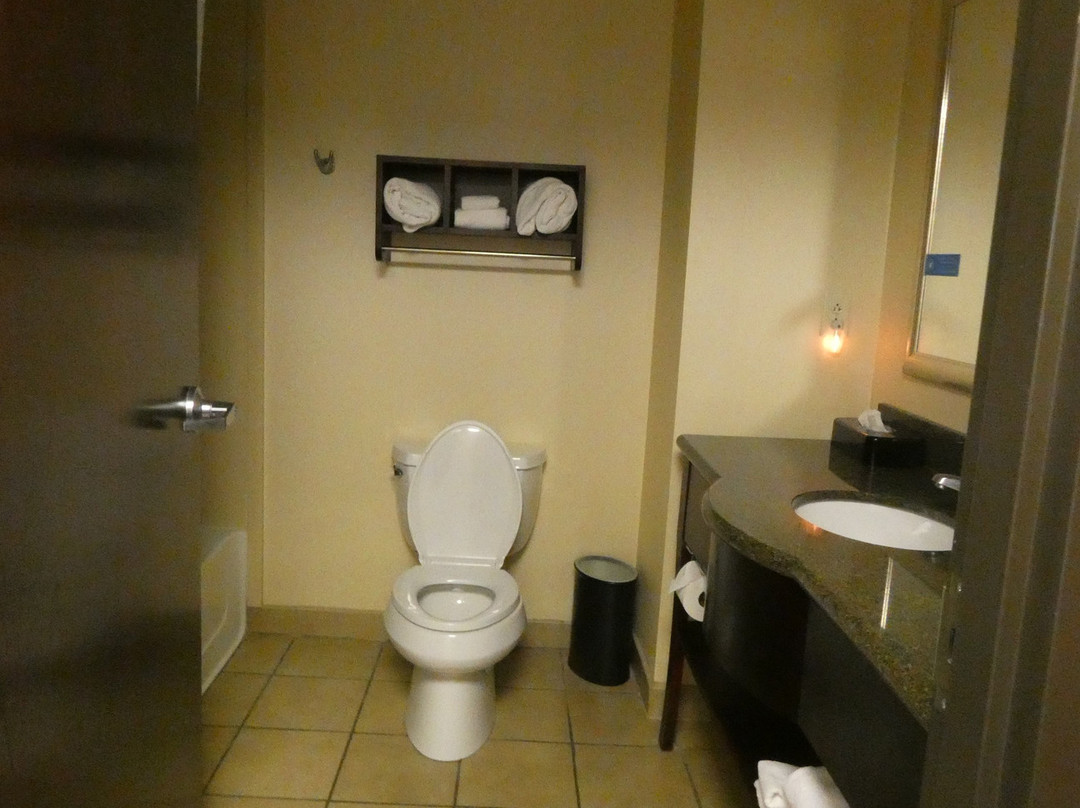 锡拉丘兹伊利大道／i-690 汉普顿套房酒店主图