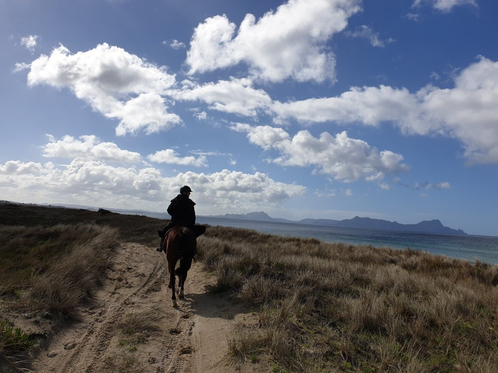 Waipu Horse Adventures-璜加雷必去景点