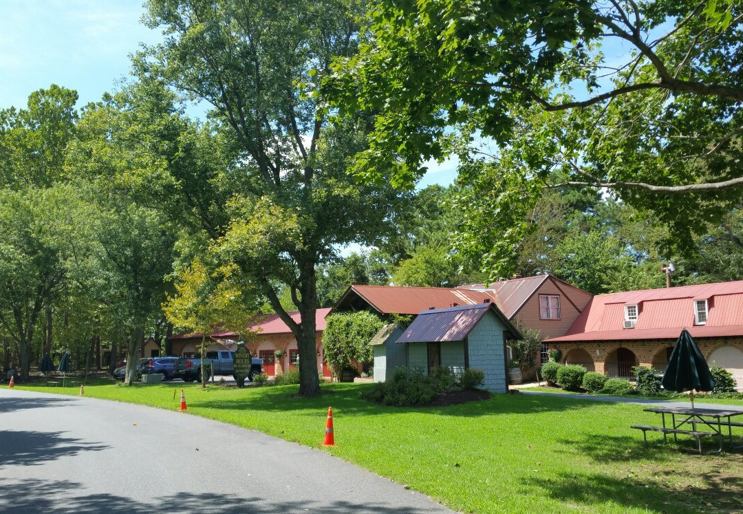 Nassau Valley Vineyards-刘易斯必去景点