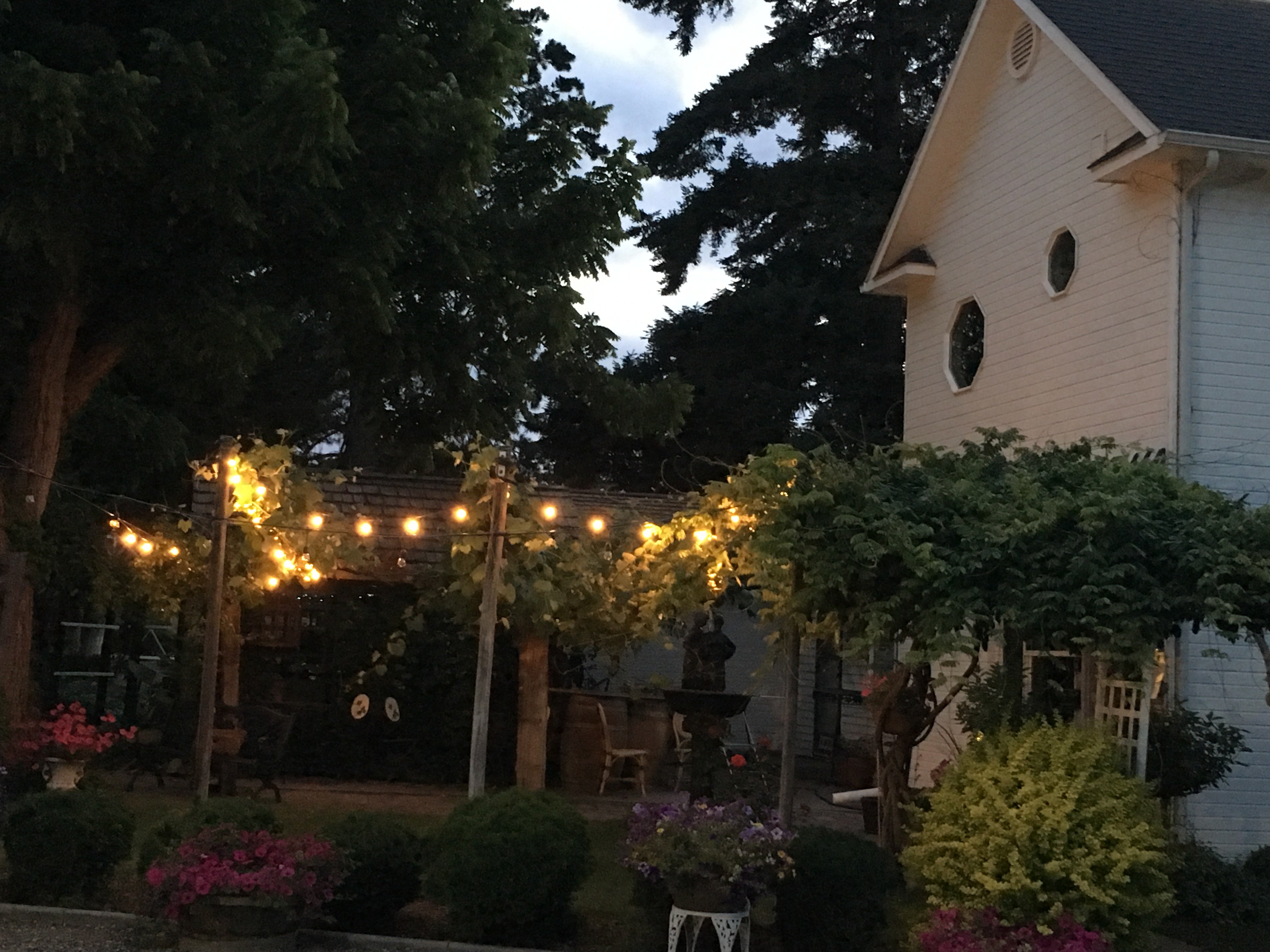 Cozy Rose Luxury Inn Bed & Breakfast-浴室