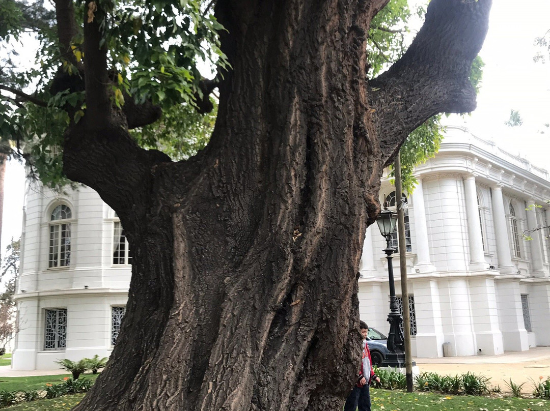 Palacio Rioja-比尼亚德尔马必去景点