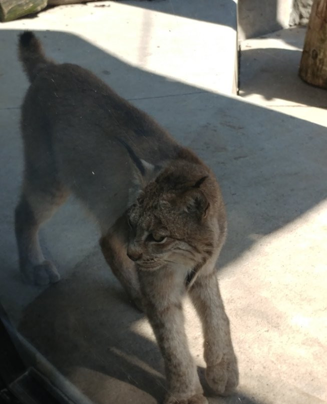 Ochsner Park Zoo-巴拉布必去景点