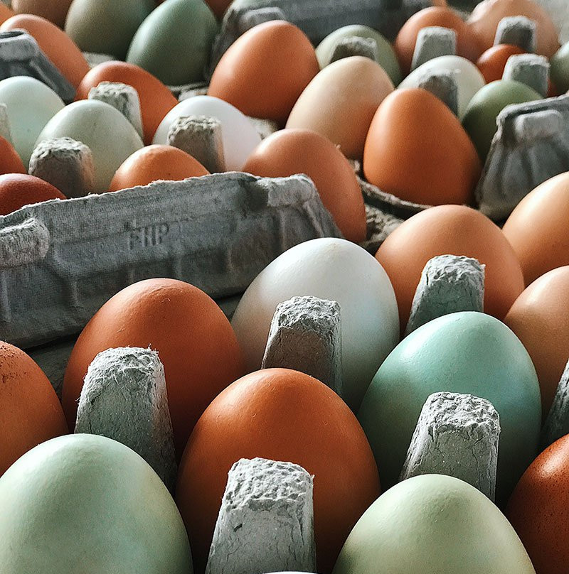 Dallas Farmers Market-达拉斯必去景点