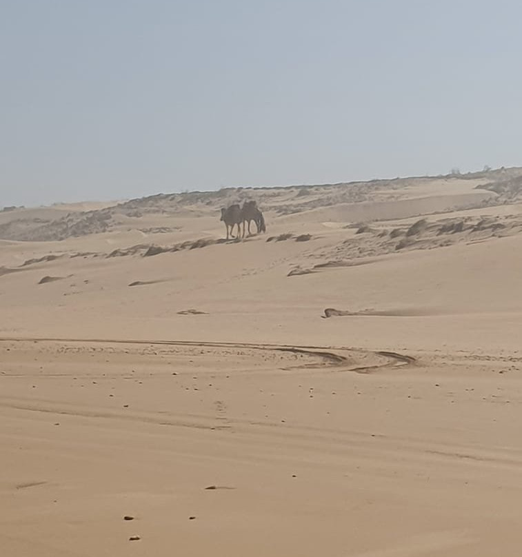 Be-In-Naturetours-索维拉必去景点