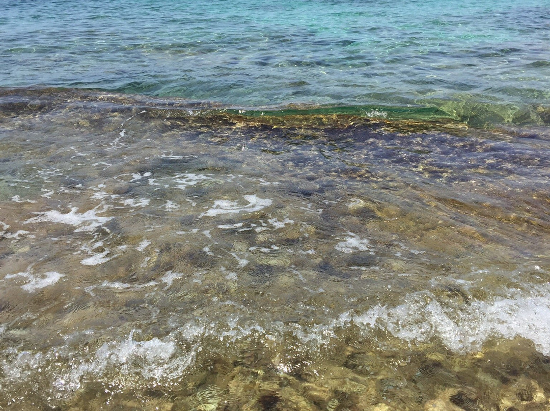 Cala Galiota-Colonia de Sant Jordi必去景点