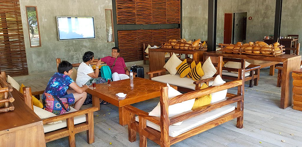 查亚野生亚拉主图