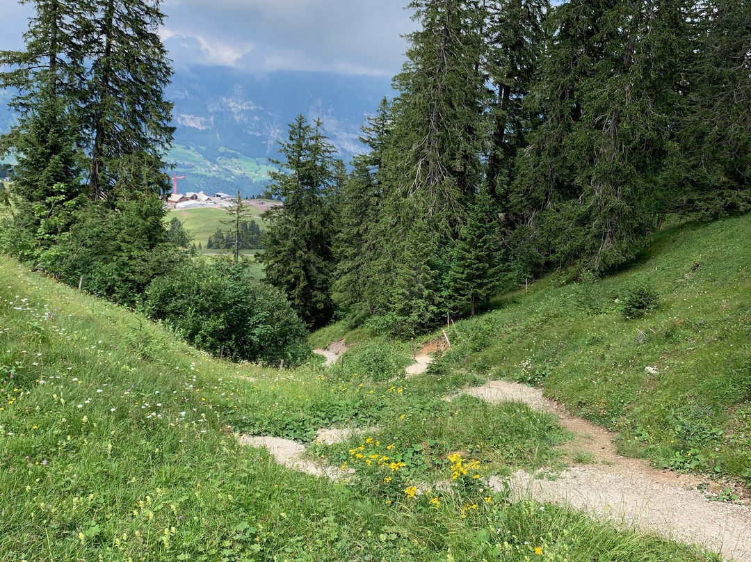 Flumserberg Bergbahnen-Flumserberg必去景点