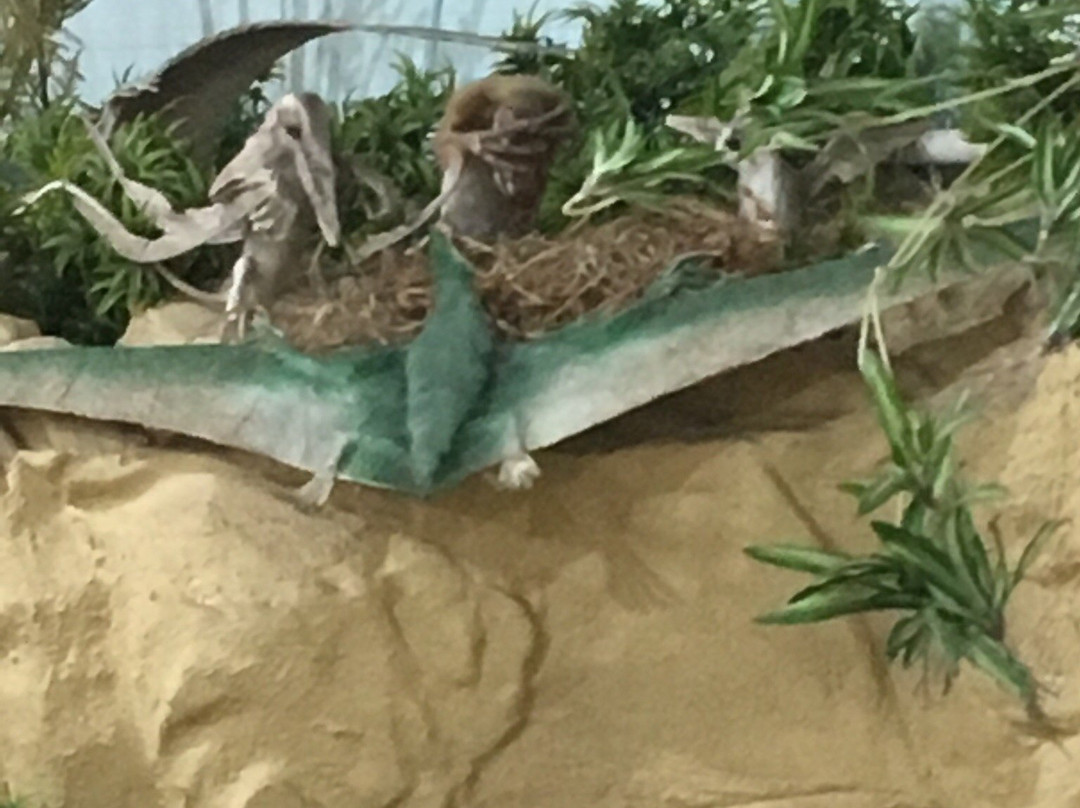 Portsmouth Natural History Museum-普兹茅斯必去景点