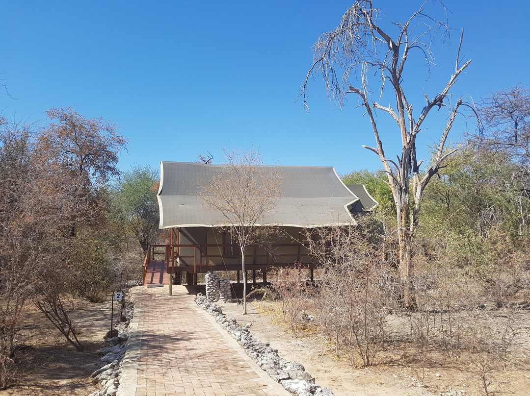 穆沙拉前哨营地主图