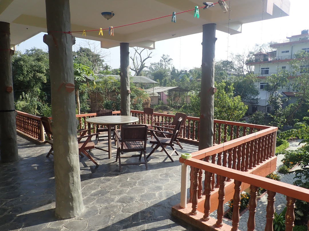 伊甸园丛林度假村主图