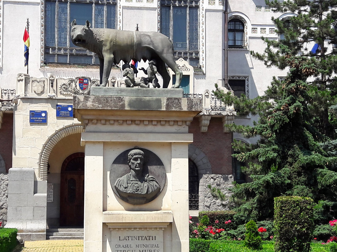 Targu Mures City Hall景点图片