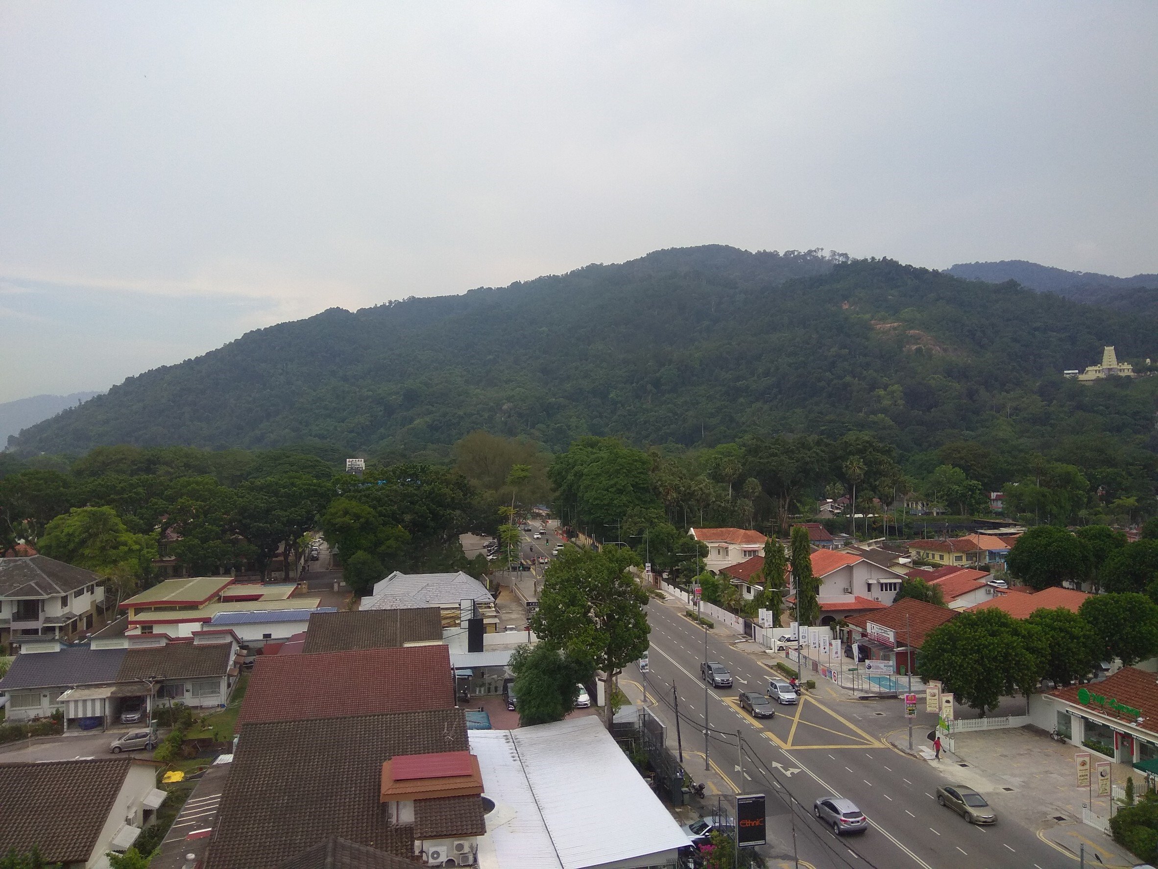 Tropics Eight Suites-酒店景观