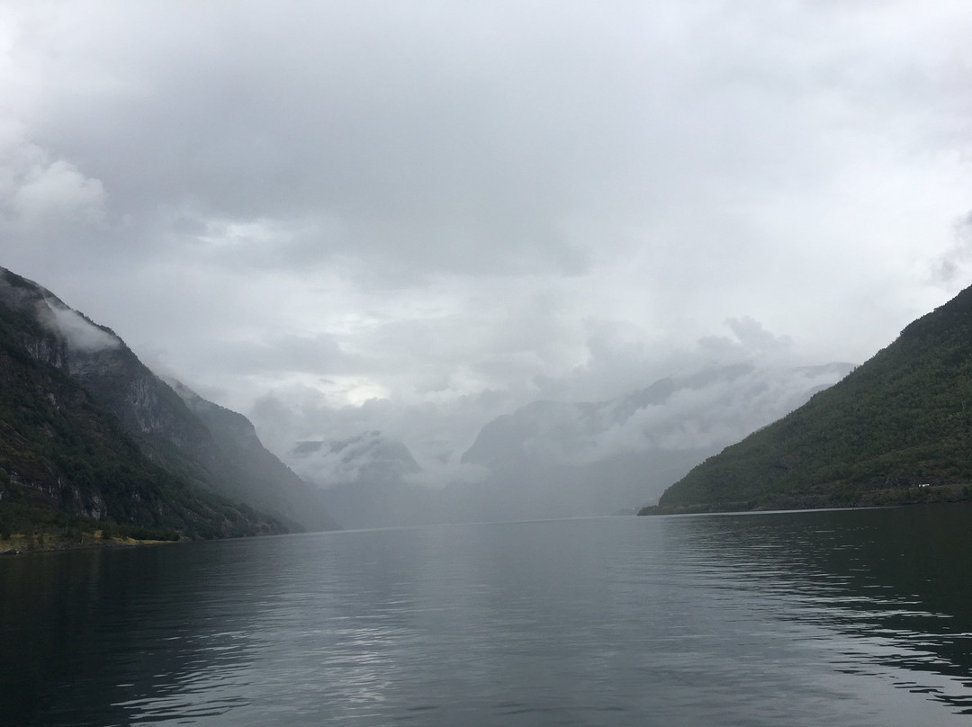 Fjord Tours景点图片