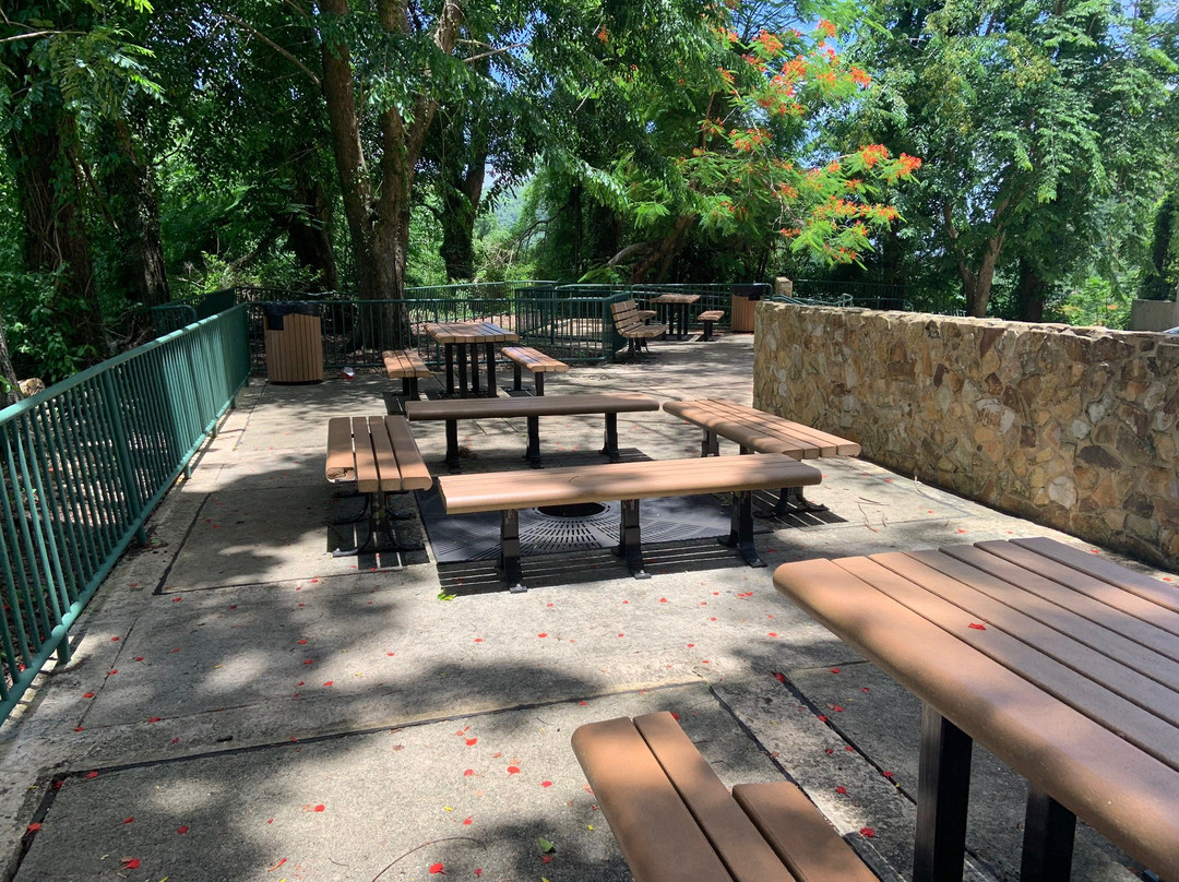 Mirador Las Lagrimas (Viewpoint)-Naranjito必去景点