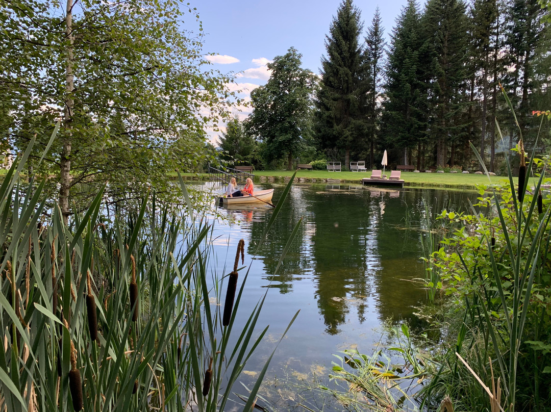 Parkhotel Holzerhof主图